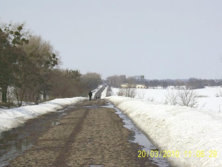 Романівка з panoramio.com - Romanivka