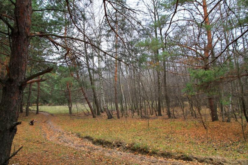 Чугуїв з panoramio.com - Чугуев