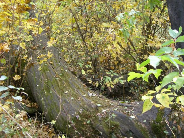 Люботин з panoramio.com - Люботин