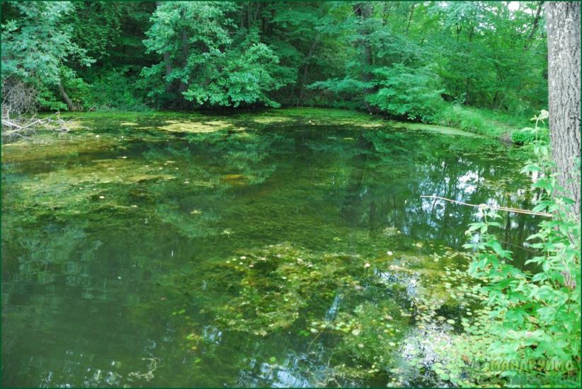 Глинське з panoramio.com - Глинське