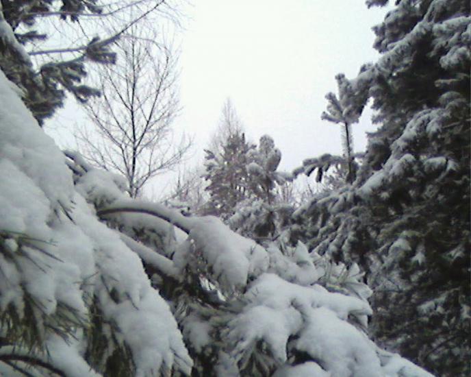 Ліпляве з panoramio.com - Лепляво