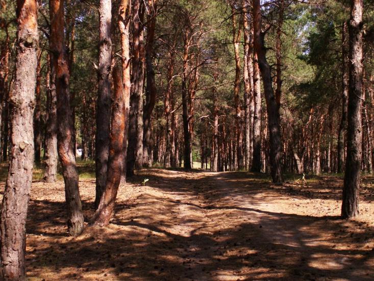 Баловне з panoramio.com - Баловное