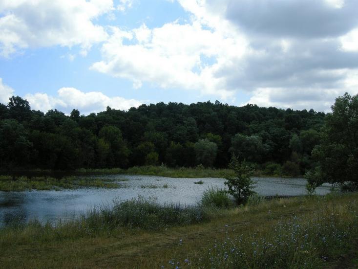 Кодима з panoramio.com - Кодима