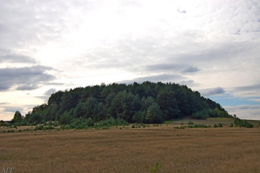Велика Ведмежка з panoramio.com - Великая Ведмежка
