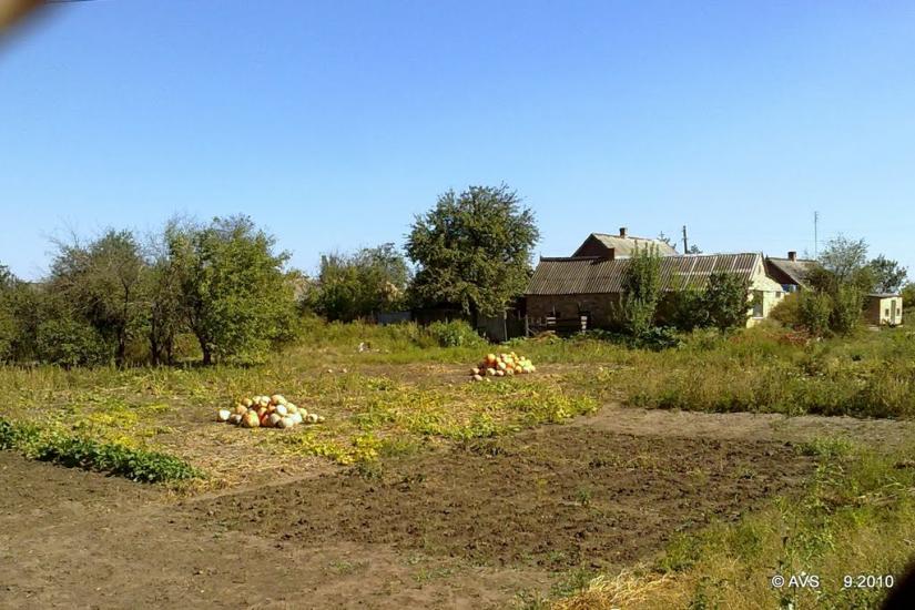 Покровське з panoramio.com - Покровське