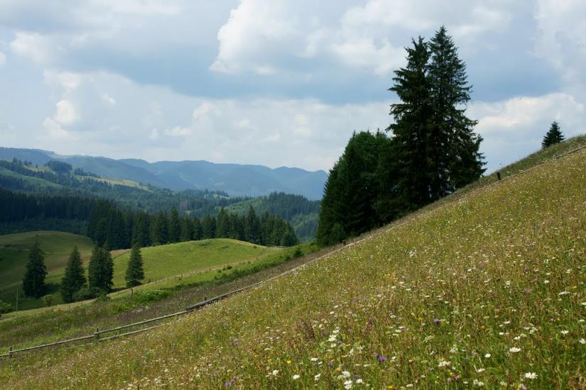 Сергії з panoramio.com - Сергии