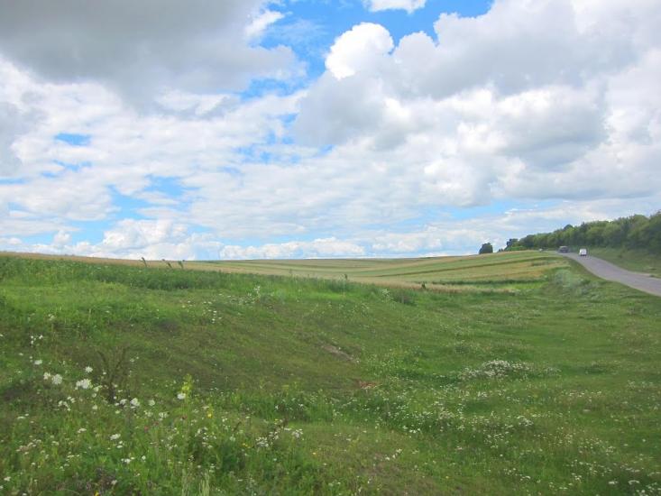 Лисичинці з panoramio.com - Лисичинцы