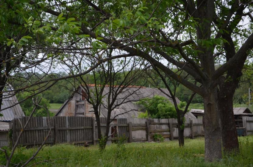Лікарівка з panoramio.com - Likarivka