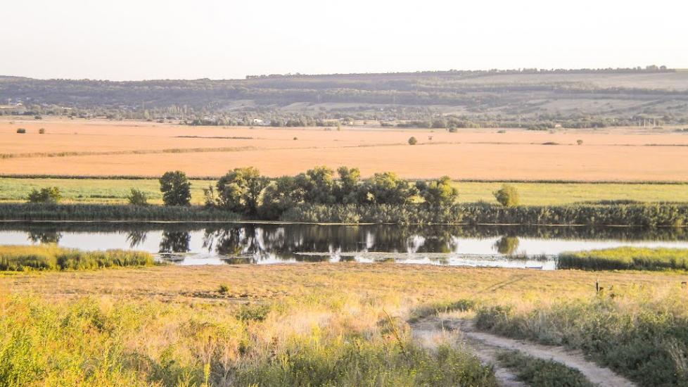 Яструбинове з panoramio.com - Ястребиново