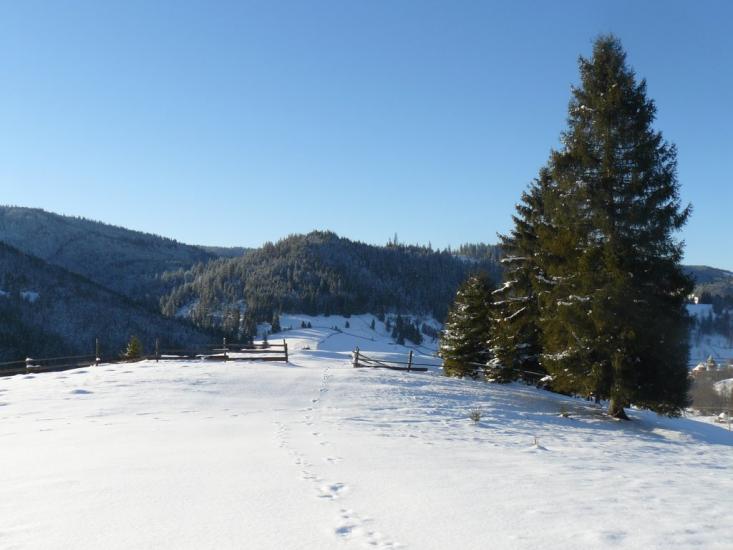 Шепіт з panoramio.com - Шепіт