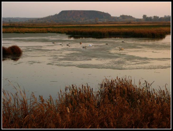 Дігтів з panoramio.com - Дігтів