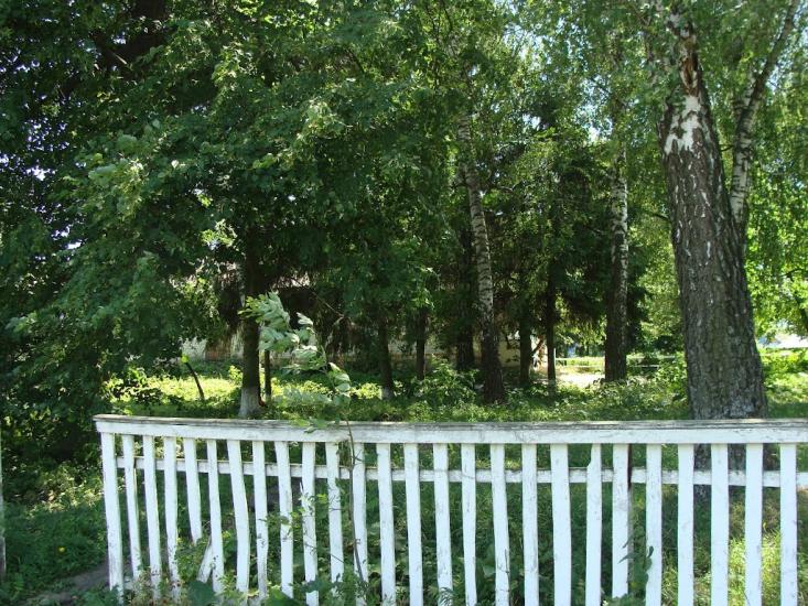 Черемошне з panoramio.com - Черемошне