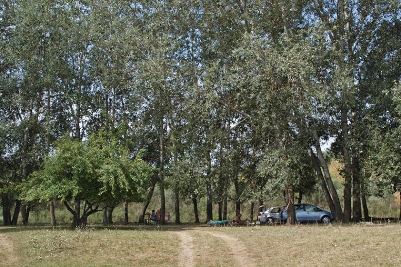 Баранівка з panoramio.com - Барановка