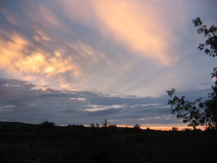 Суха Гомільша з panoramio.com - Сухая Гомольша