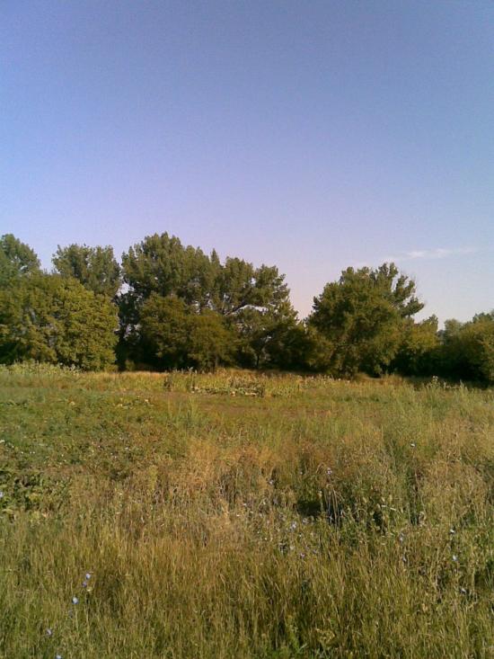 Юр'ївка з panoramio.com - Юрьевка