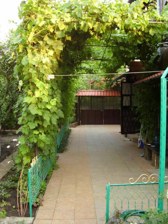 Болгарка з panoramio.com - Болгарка