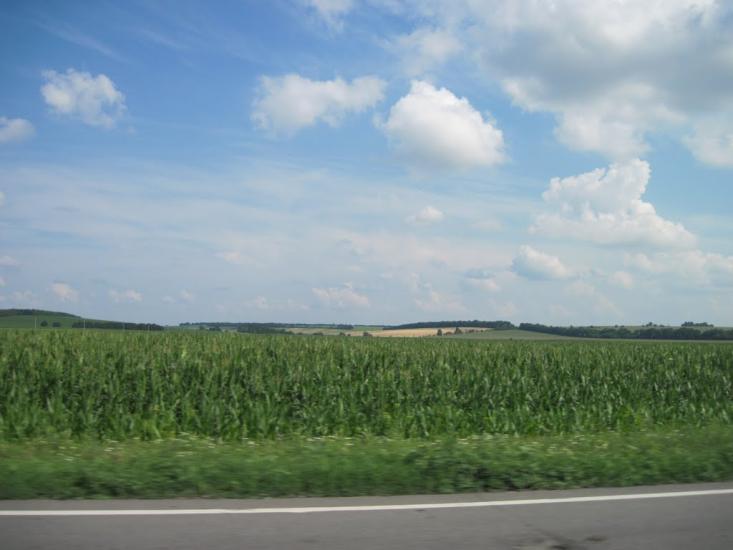 Пасічники з panoramio.com - Пасечники