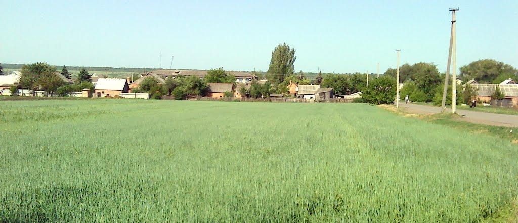 Званівка з panoramio.com - Звановка