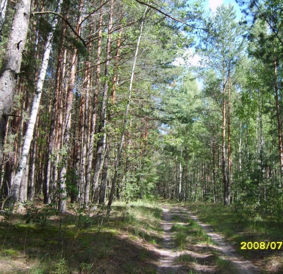 Заріччя з panoramio.com - Заречье