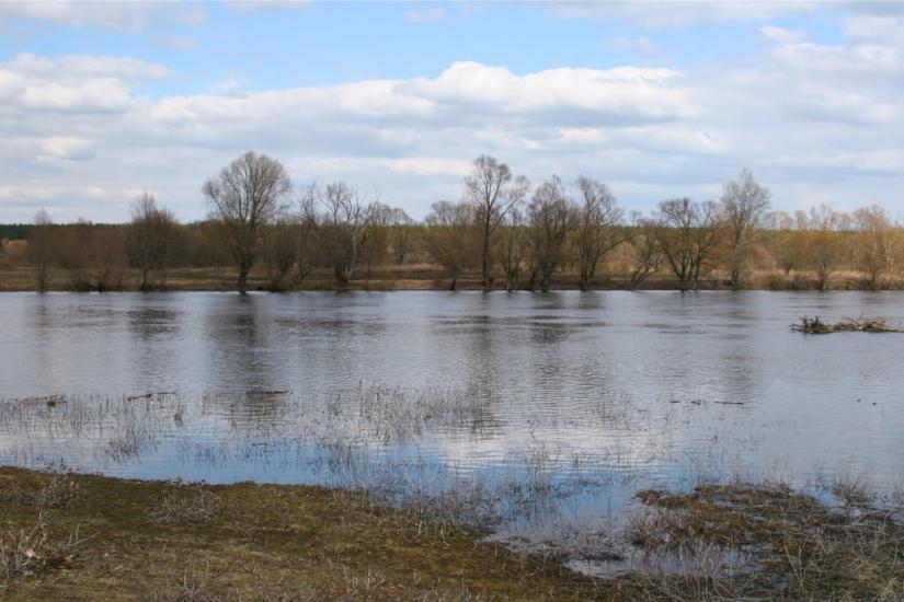 Радичів з panoramio.com - Радичев