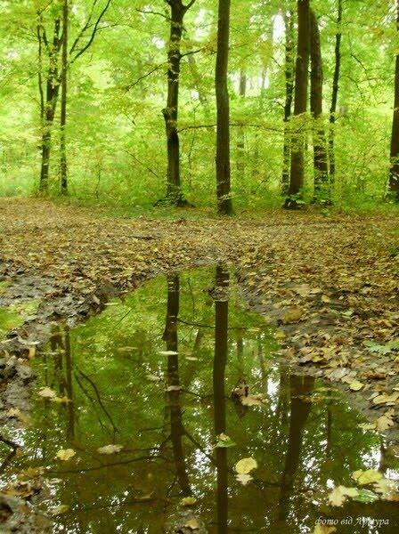 Звози з panoramio.com - Звозы