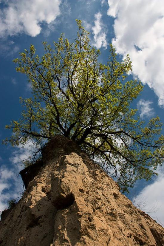 Чечелеве з panoramio.com - Checheleve