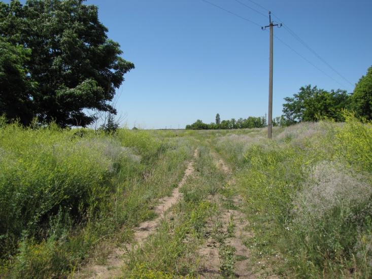 Харківці з panoramio.com - Харківці