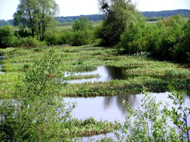 Сарни з panoramio.com - Сарни
