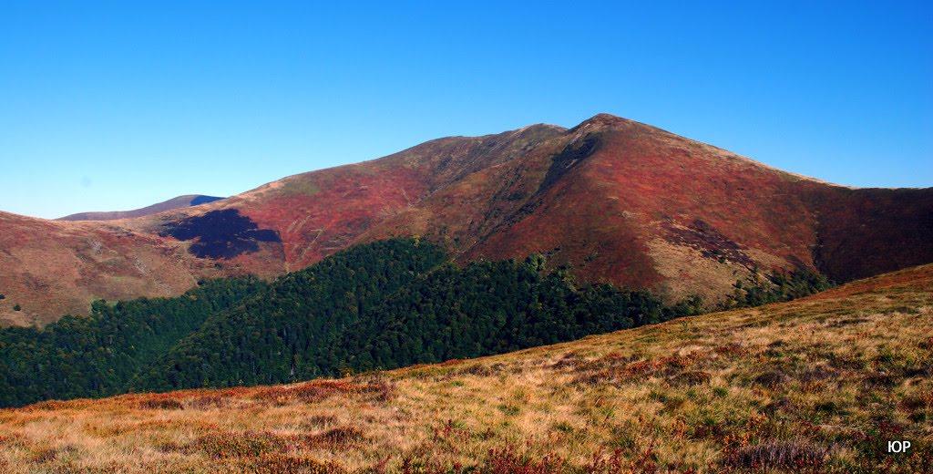 Вовчий з panoramio.com - Волчий
