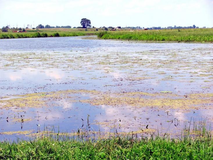 Хотин з panoramio.com - Хотин