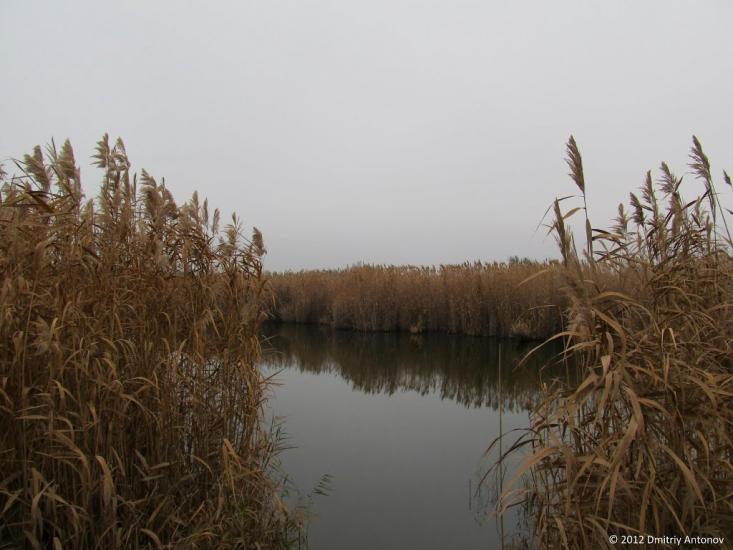 Глеюватка з panoramio.com - Глееватка
