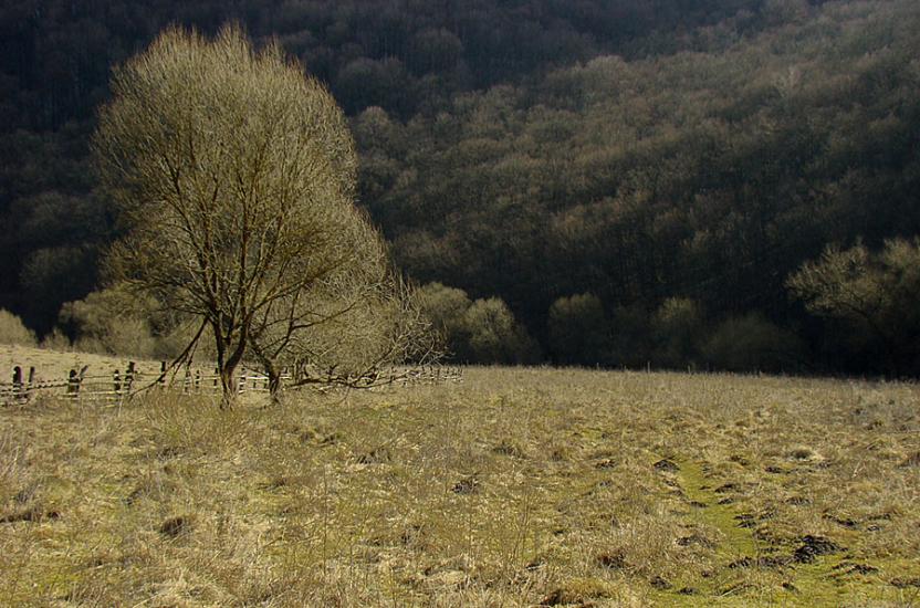 Кринцілів з panoramio.com - Кринцілів