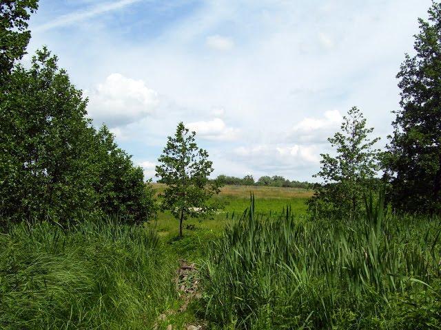 Люботин з panoramio.com - Люботин