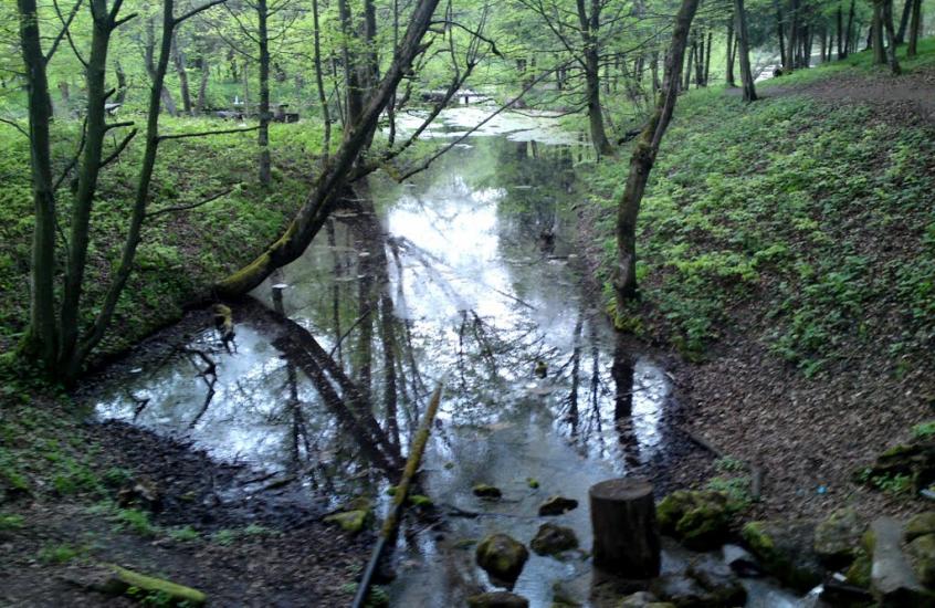 Рай з panoramio.com - Рай