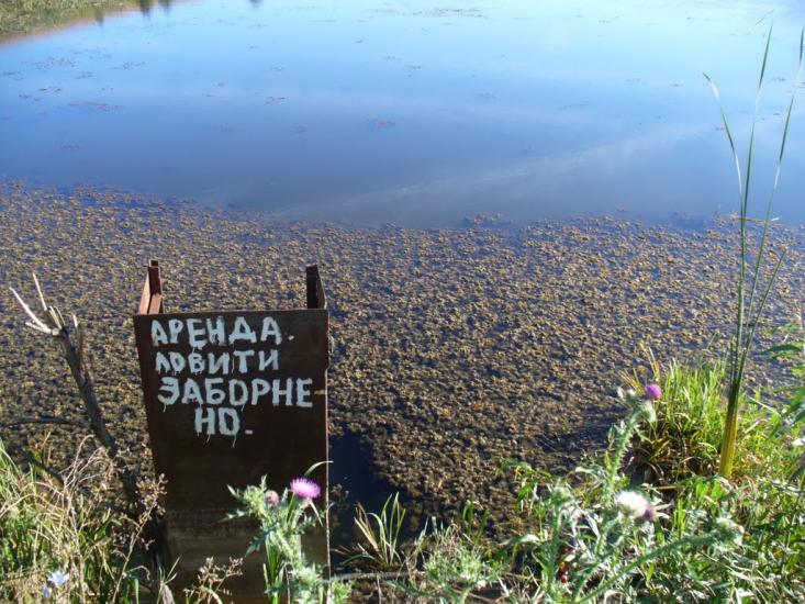 Косяківка з panoramio.com - Косяковка