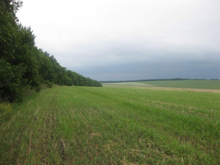 Садки з panoramio.com - Садки