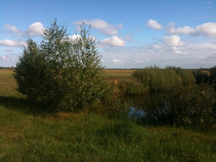 Угриничі з panoramio.com - Угриничі