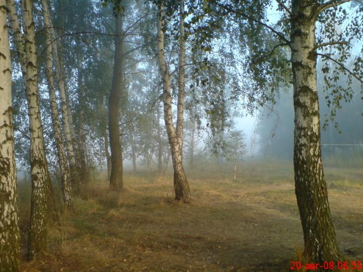 Жукин з panoramio.com - Zhukyn