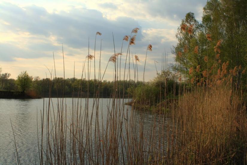 Чугуїв з panoramio.com - Чугуев