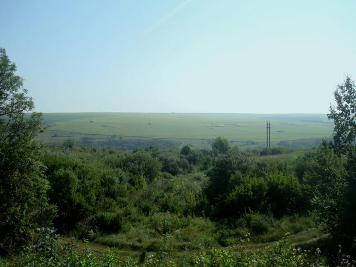 Панівці з panoramio.com - Panivtsi