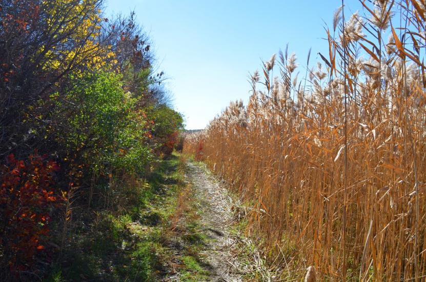 Старий Крим з panoramio.com