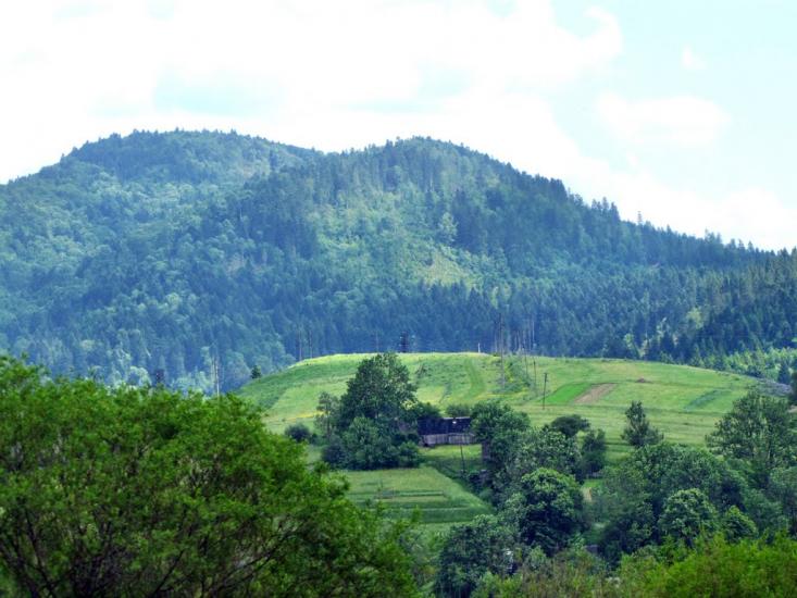 Явора з panoramio.com - Явора