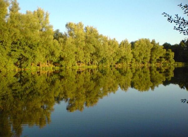 Люботин з panoramio.com - Люботин