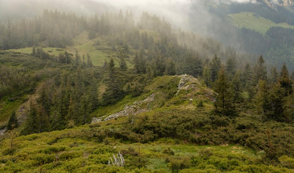 Видричка з panoramio.com - Видричка
