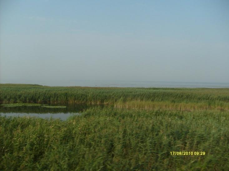 Малокатеринівка з panoramio.com - Малокатериновка