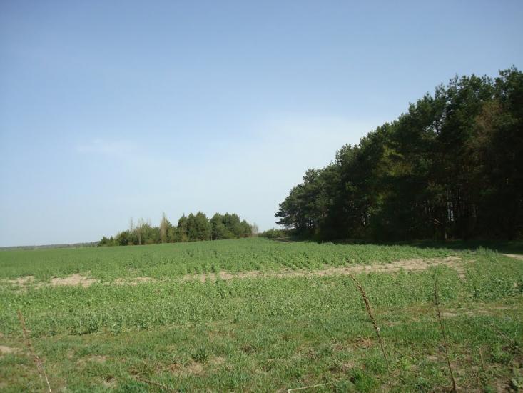 Вівчицьк з panoramio.com - Вівчицьк