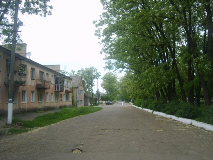 Миколаївка з panoramio.com - Миколаївка