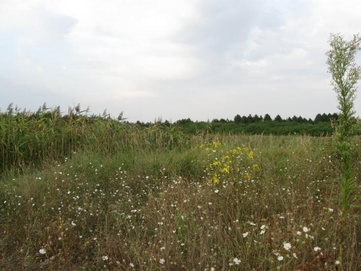 Раденськ з panoramio.com - Radensk