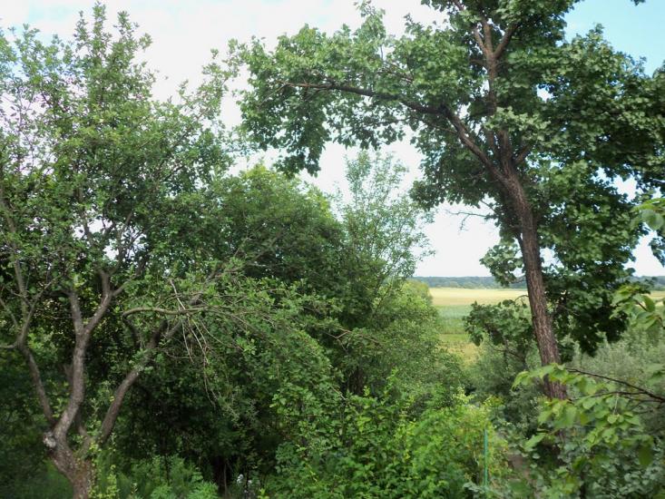 Буланове з panoramio.com - Буланово