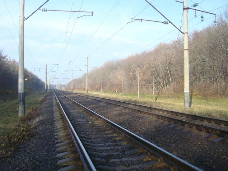 Кривачинці з panoramio.com - Кривачинці